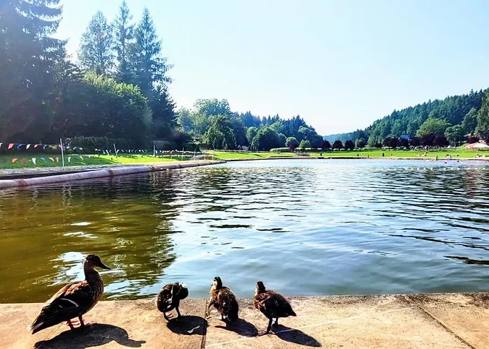 Caloroczny Nad Zalewem U Podnoza Gor Stolowych